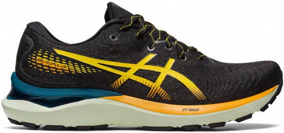 ASICS Gel Cumulus 24 TR Trailrunningschoenen meerkleurig