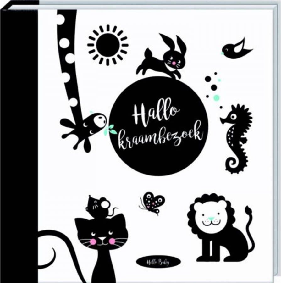 ImageBooks Hello Baby Hallo kraambezoek