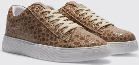 boohoo Krokodillen Gympen, Brown