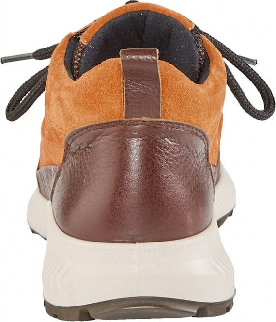 Ara Veterschoen Gepolsterde rand Oranje