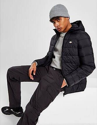 Dickies Waldenburg Bubble Jacket Black Heren