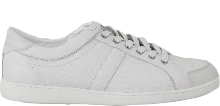 Dolce & Gabbana Kaaiman Crocodile Sneakers , Wit, Heren