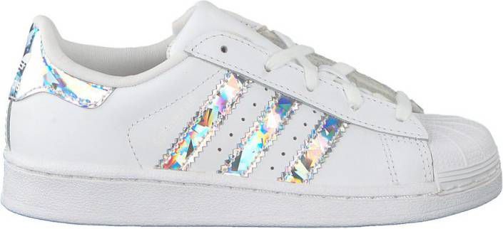 zx 750 heren bluebird