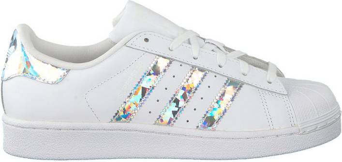 superstar kinderen grijs