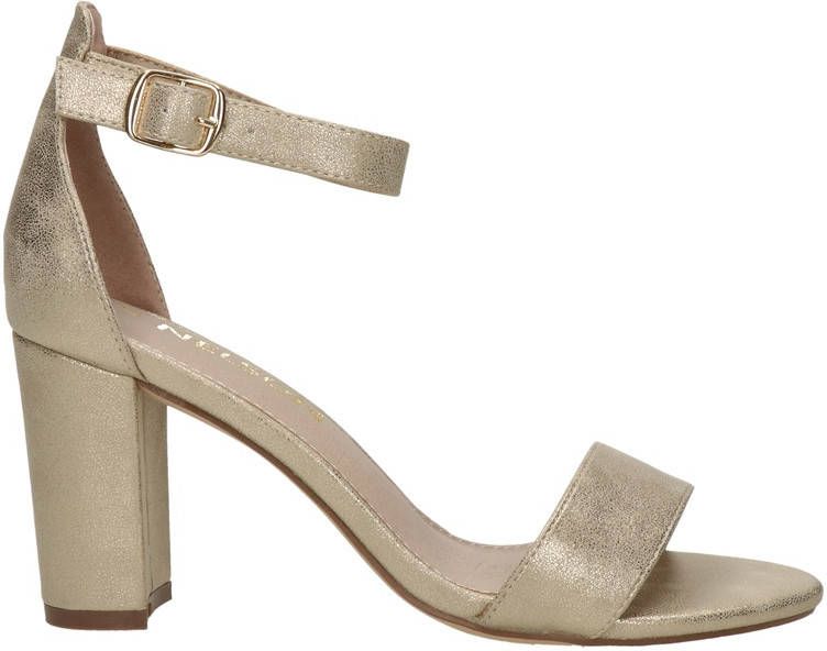 Nelson pumps