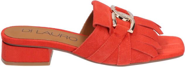 Di lauro Ronni 2315624 GF106 Orange Suede Muilen