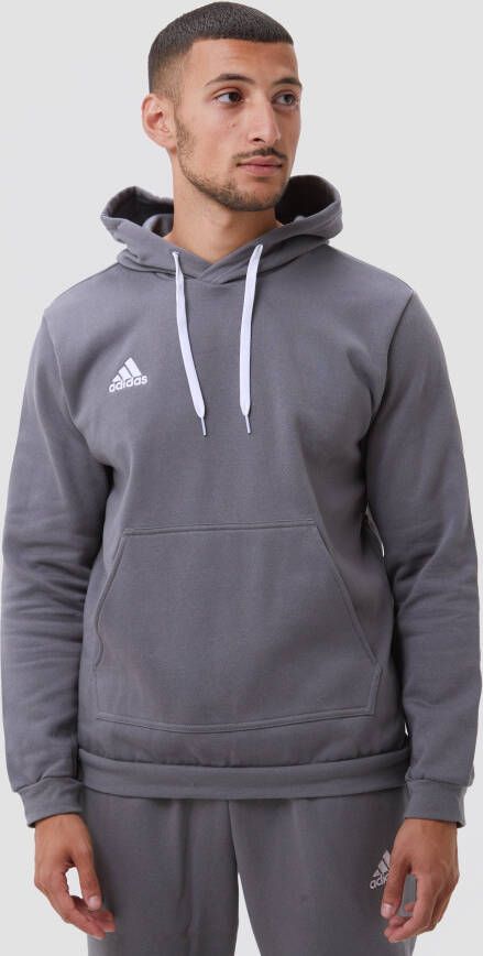 adidas Entrada 22 Sweat Hoodie Grijs Wit