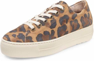 Paul Green Sneaker in fraaie look Zwart/Bruin