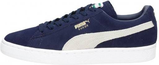 إنذار قاسي أصول تربية puma gouden neus - ashworkshop.org
