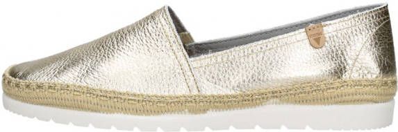 Verbenas Instapper Goud