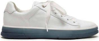 Ara Ballerina's