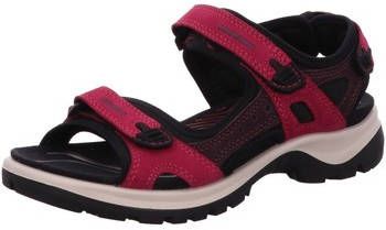 ECCO Wandelschoenen
