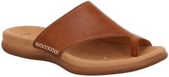 GABOR Dianets van nubuckleer