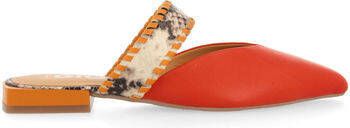 Gioseppo Ballerina's F