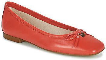 JB Martin Ballerina's VIRTUOSE