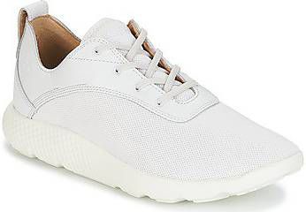 Lage Sneakers Timberland FLYROAM
