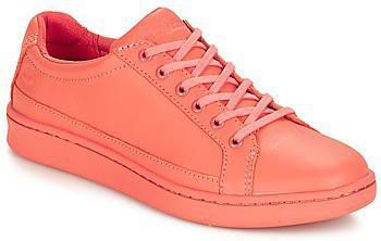 Lage Sneakers Timberland San Francisco Flavor Oxford