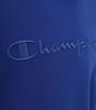 Champion Hoodies & sweatvesten Blauw Heren online kopen