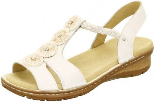 Ara Hawaii 12 27217 77