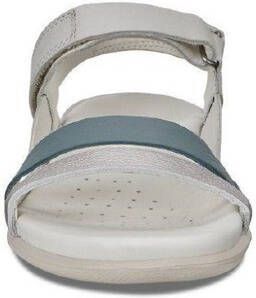 ECCO 243963