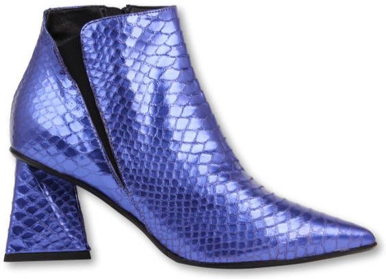 Elena Iachi Strategia