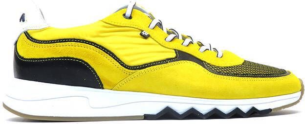 Floris van Bommel 16392