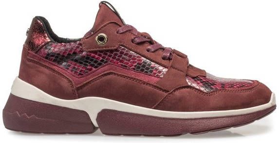 Floris van Bommel 85291