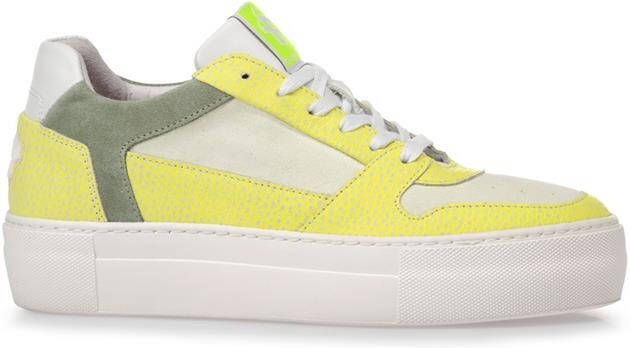 Floris van Bommel 85367