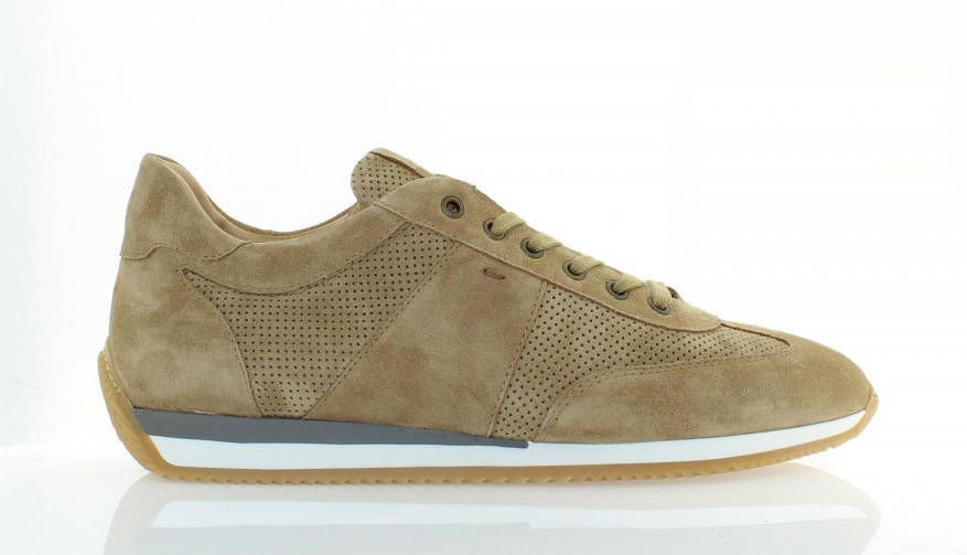 Giorgio 99210 Beige suede veterschoen(596 Tabacco )