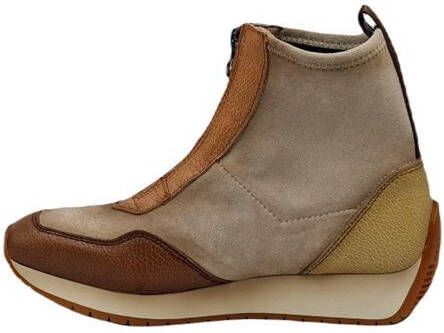 Hispanitas Chi222178