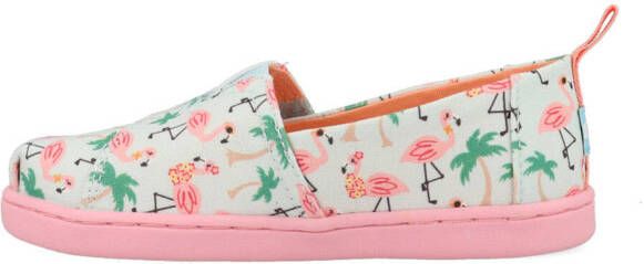 toms Alpargata Flamingo 10017783 Roze