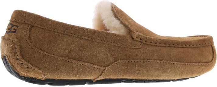 Ugg Ascot Pantoffels voor Heren in Brown,, Suede