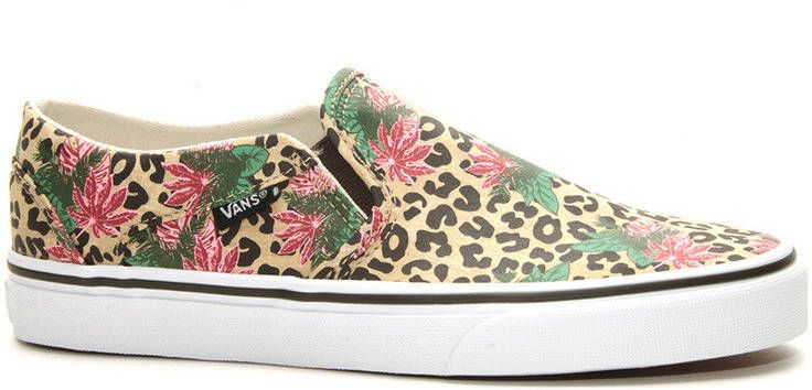 Vans Wm asher