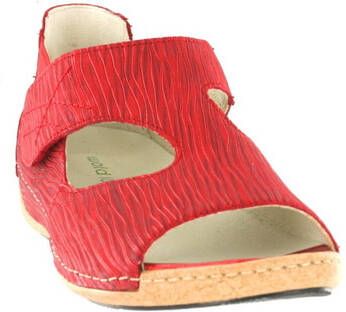 Waldlaufer Waldläufer 342004 Wijdte H