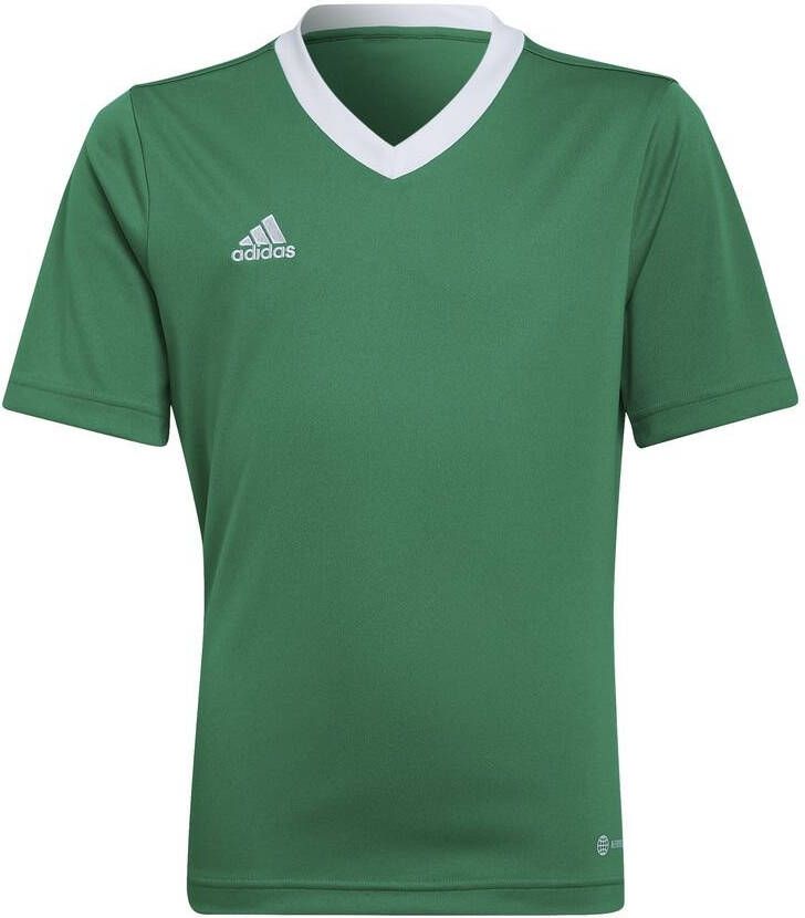 Adidas Kids adidas Entrada 22 Voetbalshirt Kids Groen Wit