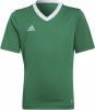 Adidas Kids adidas Entrada 22 Voetbalshirt Kids Groen Wit online kopen