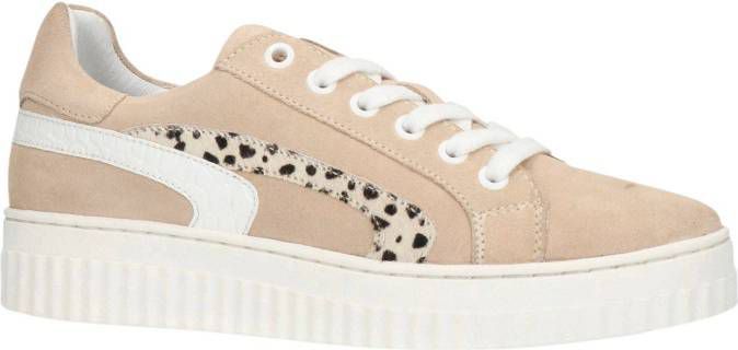 Manfield suède sneakers beige/cheetahprint