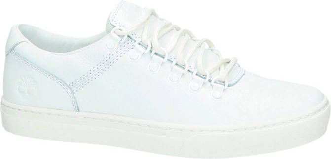 Witte Heren Timberland Schoenen kopen? Vergelijk op Vindjeschoen.nl